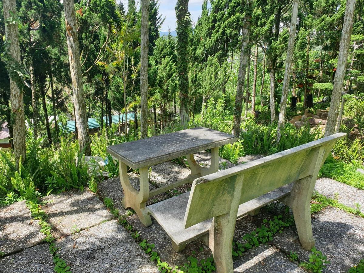 Villa Dieu Thong - Secrect Garden, View San May Va Nui ダラット エクステリア 写真