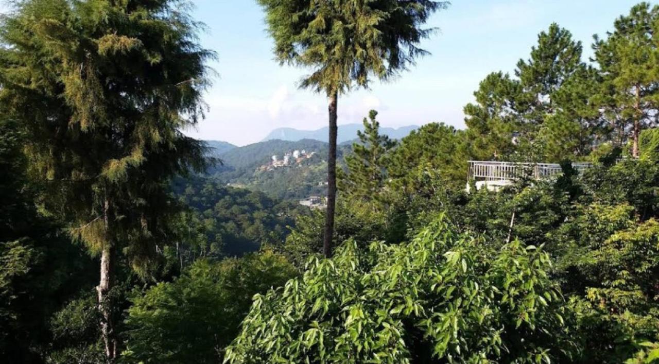 Villa Dieu Thong - Secrect Garden, View San May Va Nui ダラット エクステリア 写真